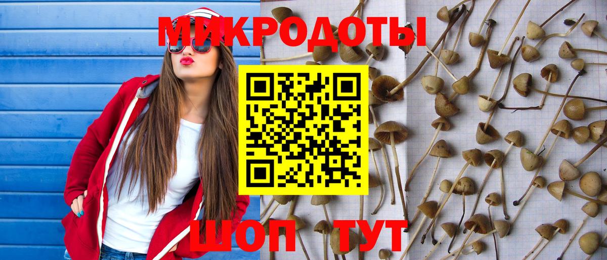 Салехард  Галлюциногенные грибы Magic Shrooms  Вход с VPN 