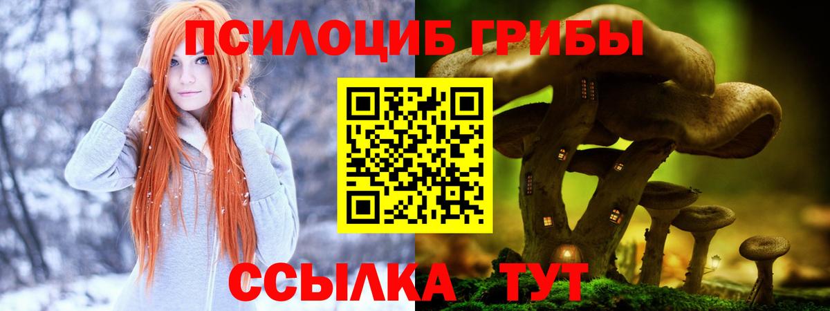 Псилоцибиновые грибы мухоморы Салехард